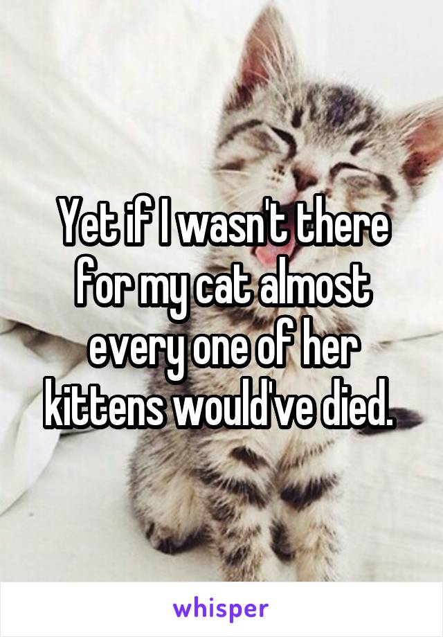 Yet if I wasn't there for my cat almost every one of her kittens would've died. 