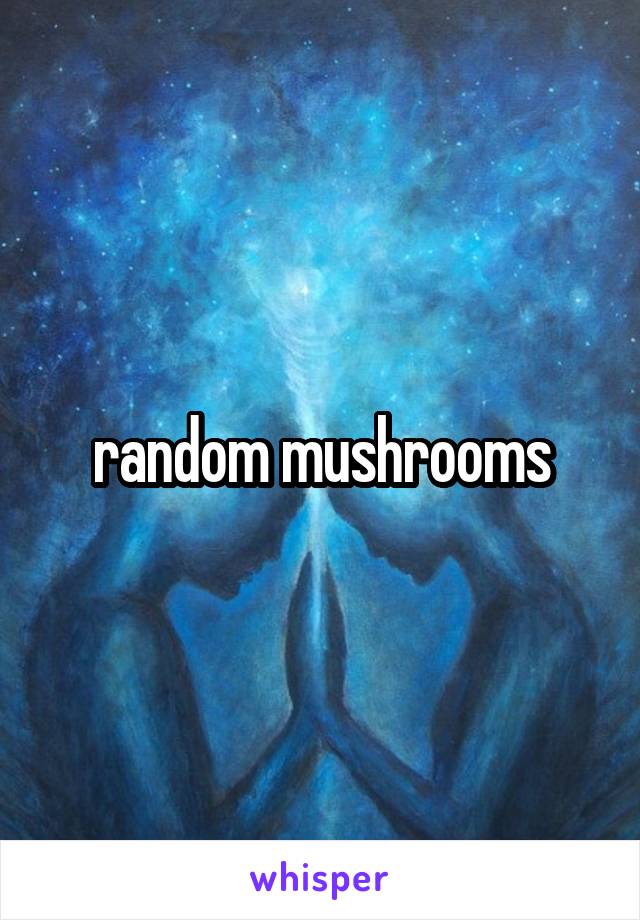 random mushrooms