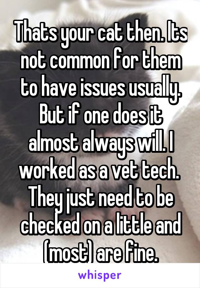 Thats your cat then. Its not common for them to have issues usually. But if one does it almost always will. I worked as a vet tech. 
They just need to be checked on a little and (most) are fine.