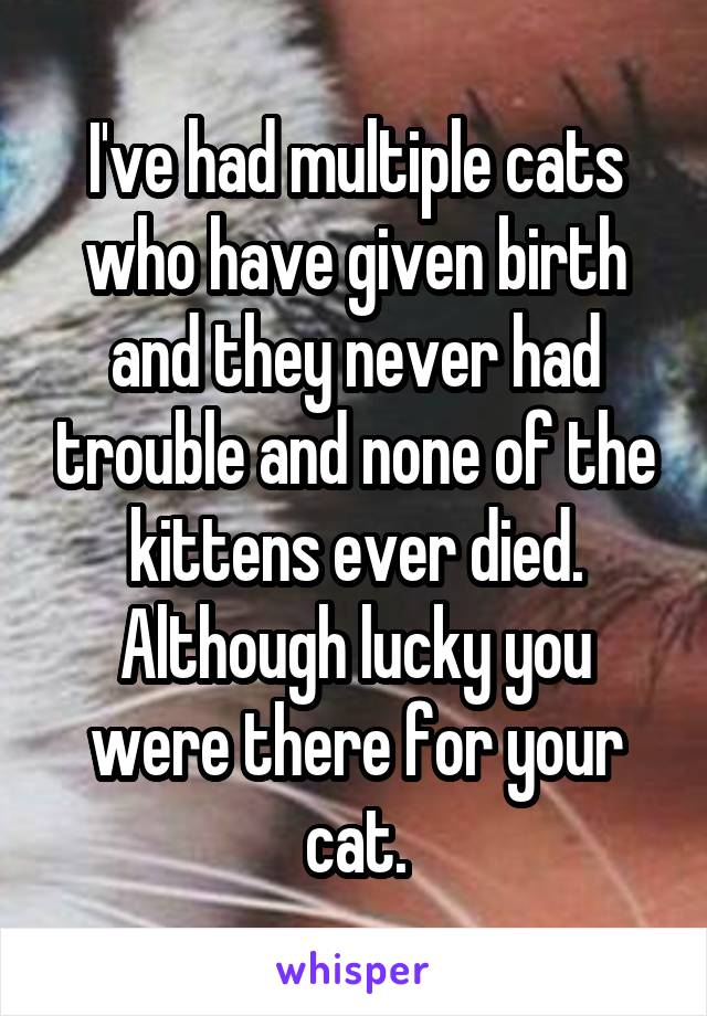 I've had multiple cats who have given birth and they never had trouble and none of the kittens ever died. Although lucky you were there for your cat.