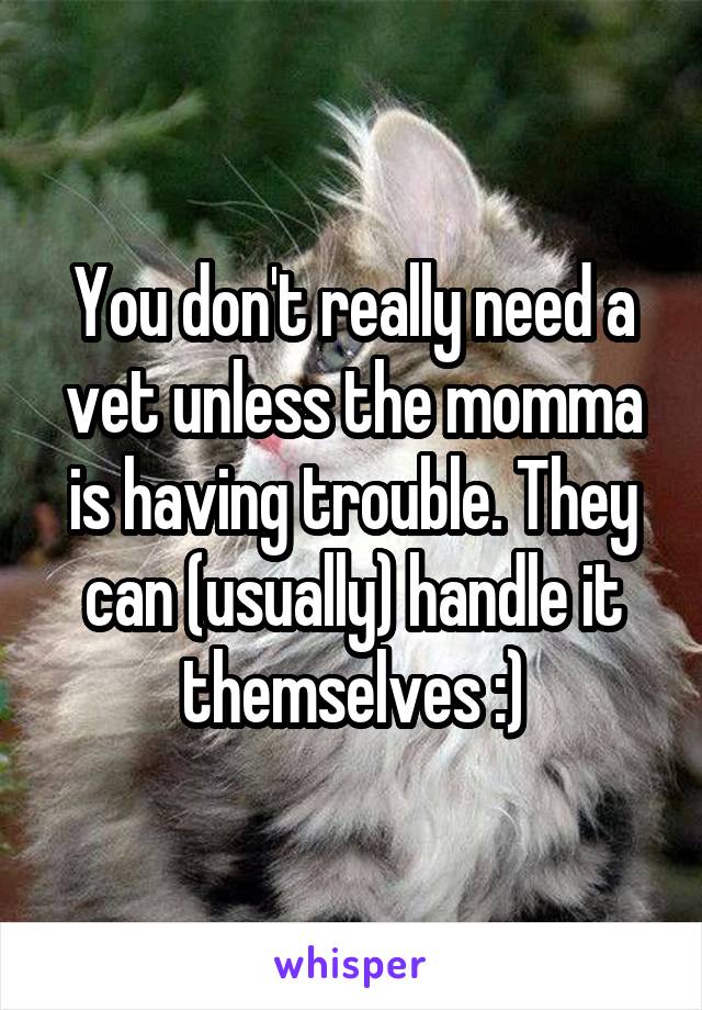 You don't really need a vet unless the momma is having trouble. They can (usually) handle it themselves :)