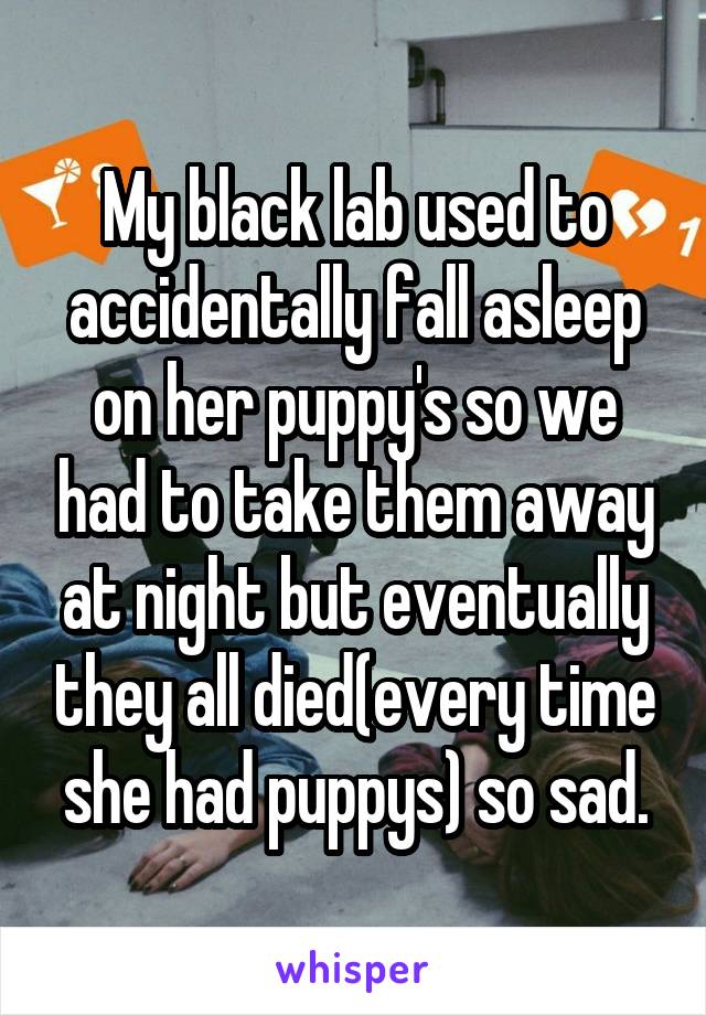 My black lab used to accidentally fall asleep on her puppy's so we had to take them away at night but eventually they all died(every time she had puppys) so sad.