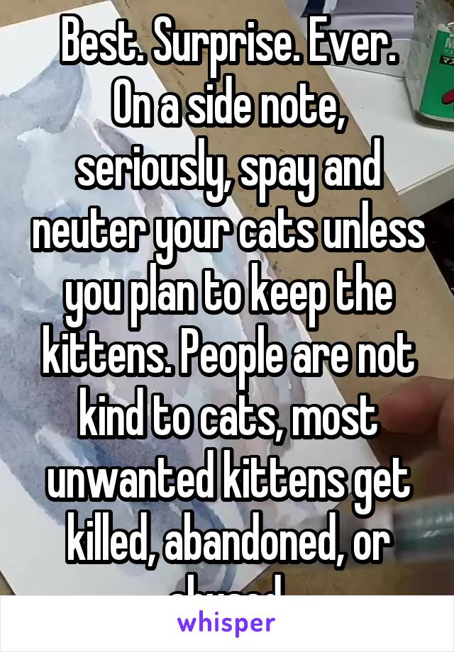 Best. Surprise. Ever.
On a side note, seriously, spay and neuter your cats unless you plan to keep the kittens. People are not kind to cats, most unwanted kittens get killed, abandoned, or abused.