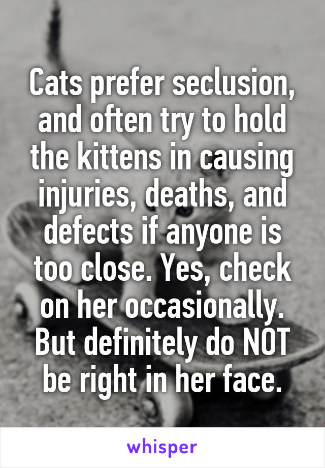 Cats prefer seclusion, and often try to hold the kittens in causing injuries, deaths, and defects if anyone is too close. Yes, check on her occasionally. But definitely do NOT be right in her face.