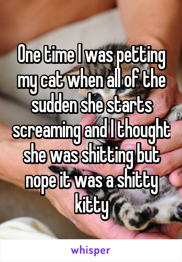 One time I was petting my cat when all of the sudden she starts screaming and I thought she was shitting but nope it was a shitty kitty