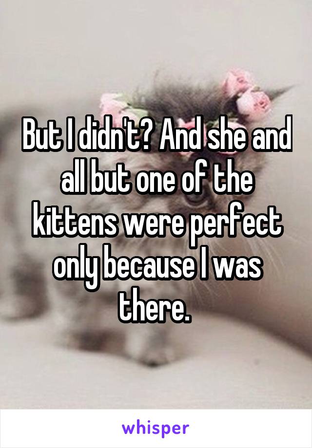 But I didn't? And she and all but one of the kittens were perfect only because I was there. 