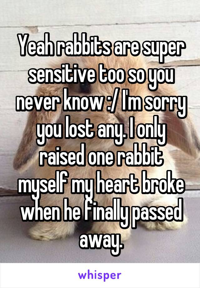 Yeah rabbits are super sensitive too so you never know :/ I'm sorry you lost any. I only raised one rabbit myself my heart broke when he finally passed away.