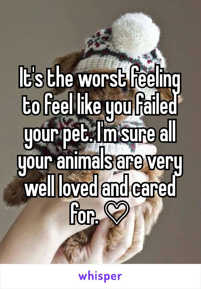 It's the worst feeling to feel like you failed your pet. I'm sure all your animals are very well loved and cared for. ♡