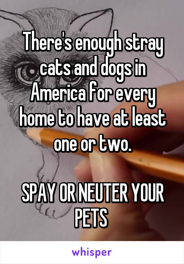 There's enough stray cats and dogs in America for every home to have at least one or two.

SPAY OR NEUTER YOUR PETS 