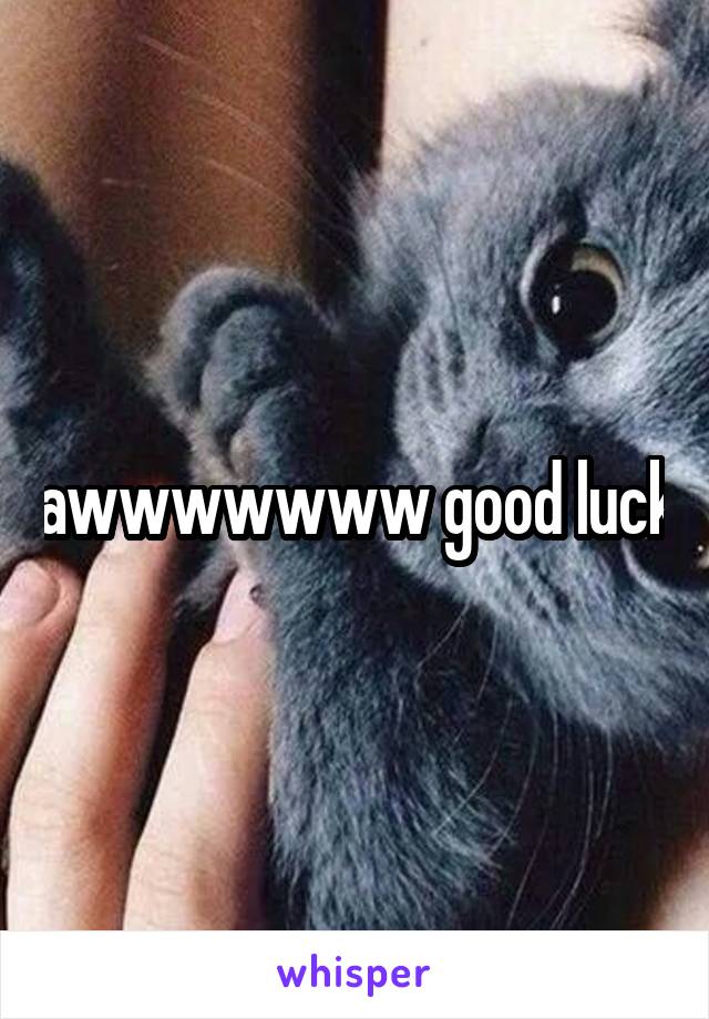 awwwwwww good luck