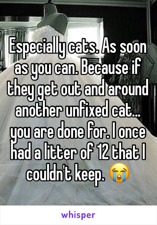 Especially cats. As soon as you can. Because if they get out and around another unfixed cat... you are done for. I once had a litter of 12 that I couldn't keep. 😭