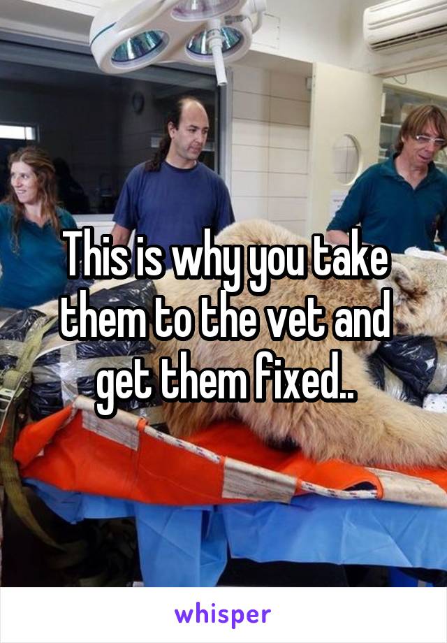 This is why you take them to the vet and get them fixed..