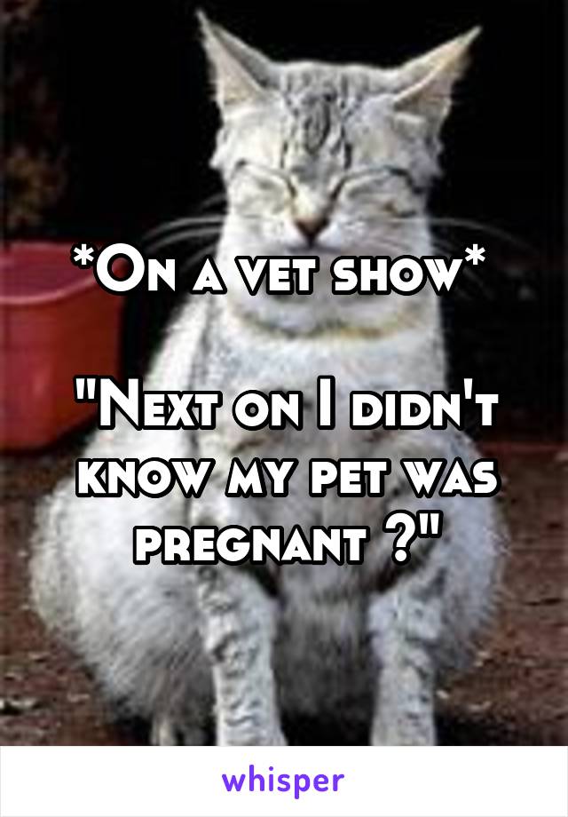 *On a vet show* 

"Next on I didn't know my pet was pregnant ~"