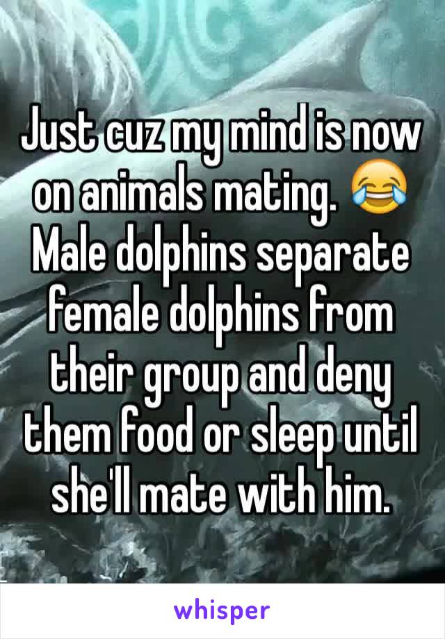 Just cuz my mind is now on animals mating. 😂
Male dolphins separate female dolphins from their group and deny them food or sleep until she'll mate with him. 