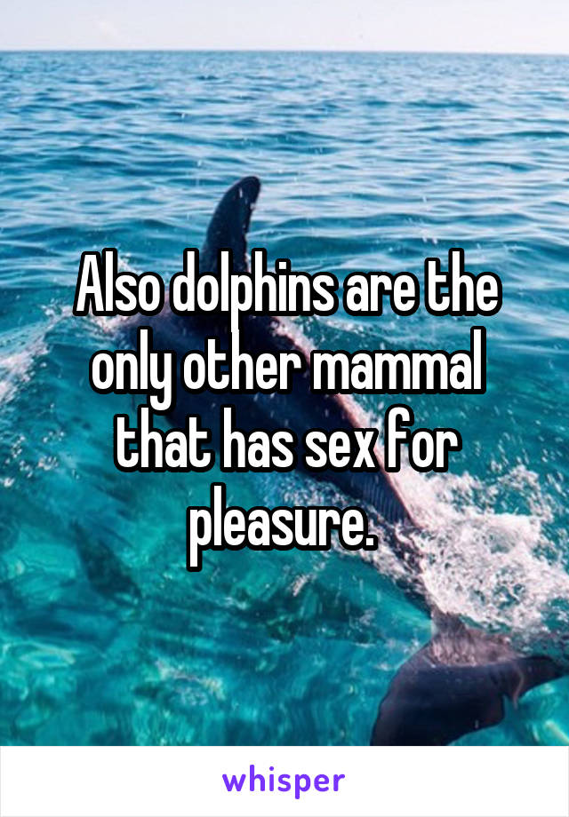 Also dolphins are the only other mammal that has sex for pleasure. 