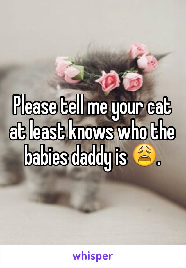 Please tell me your cat at least knows who the babies daddy is 😩.