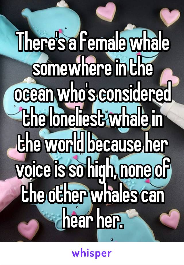 There's a female whale somewhere in the ocean who's considered the loneliest whale in the world because her voice is so high, none of the other whales can hear her.