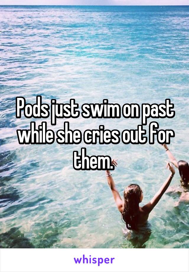 Pods just swim on past while she cries out for them. 