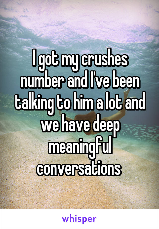 I got my crushes number and I've been talking to him a lot and we have deep meaningful conversations 
