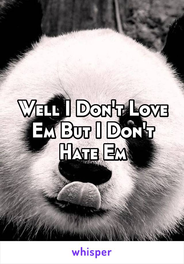 Well I Don't Love Em But I Don't Hate Em