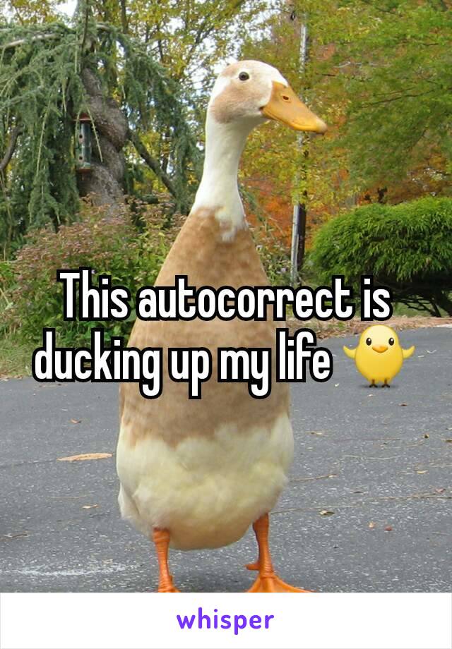 This autocorrect is ducking up my life 🐥