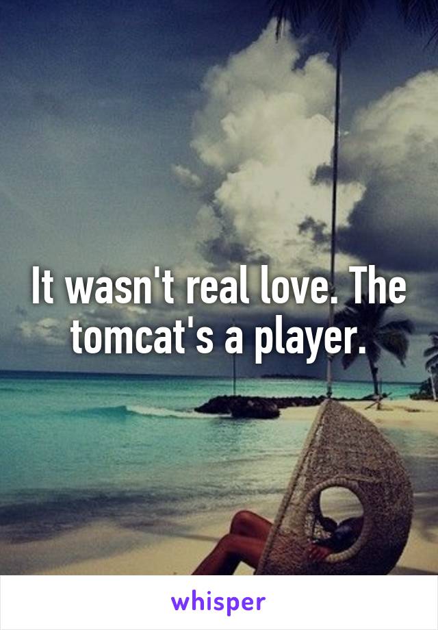 It wasn't real love. The tomcat's a player.