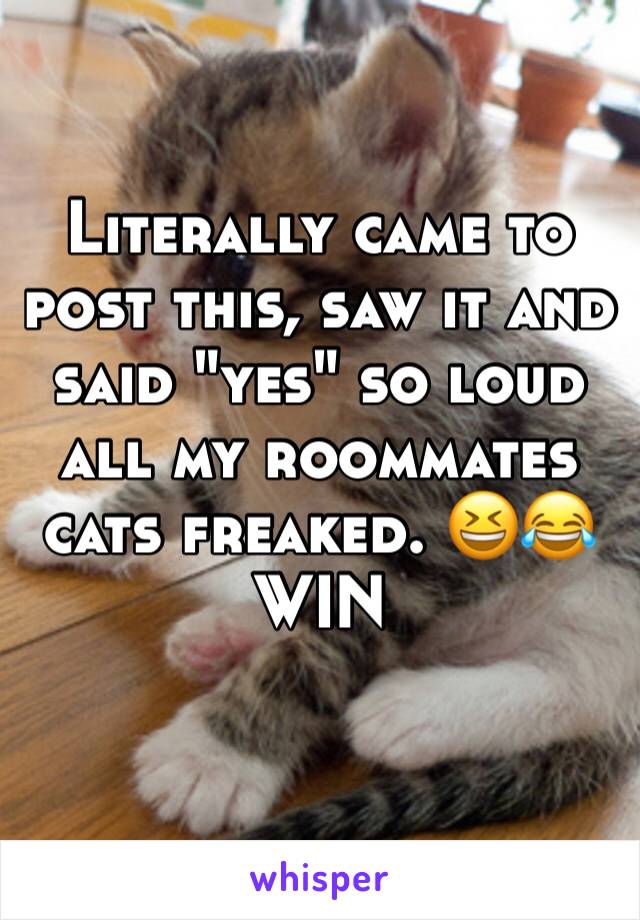 Literally came to post this, saw it and said "yes" so loud all my roommates cats freaked. 😆😂
WIN