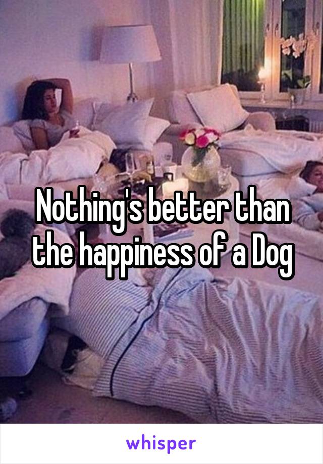 Nothing's better than the happiness of a Dog