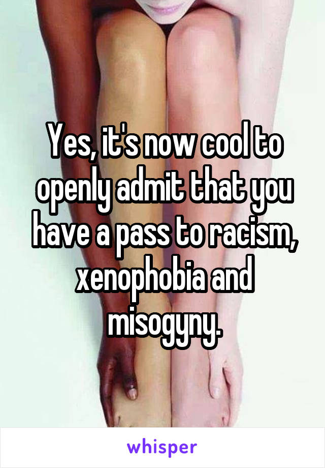 Yes, it's now cool to openly admit that you have a pass to racism, xenophobia and misogyny.