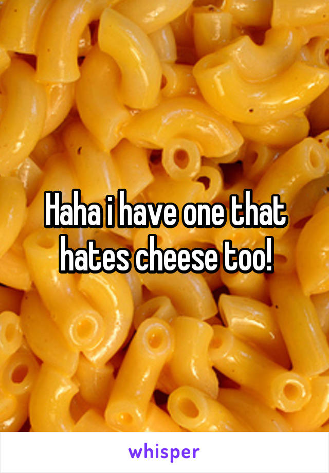 Haha i have one that hates cheese too!