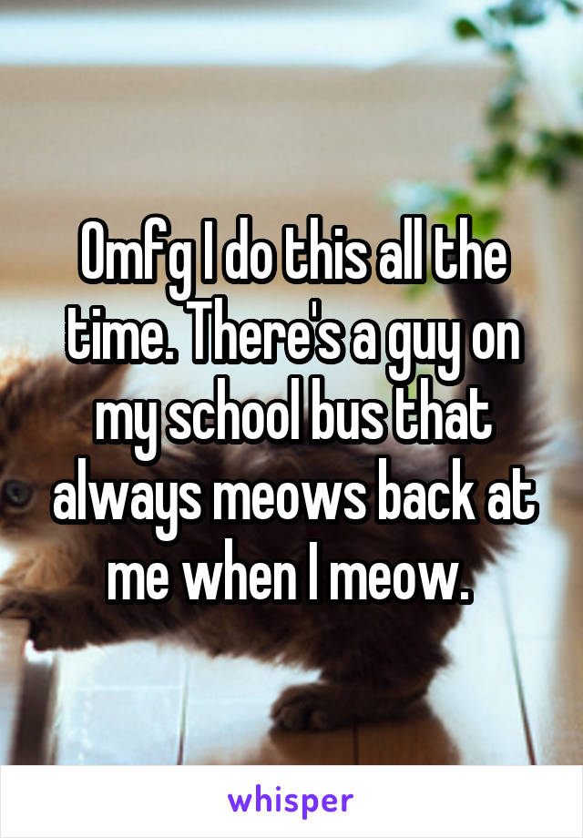 Omfg I do this all the time. There's a guy on my school bus that always meows back at me when I meow. 