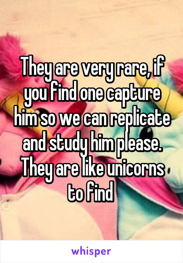 They are very rare, if you find one capture him so we can replicate and study him please. They are like unicorns to find 