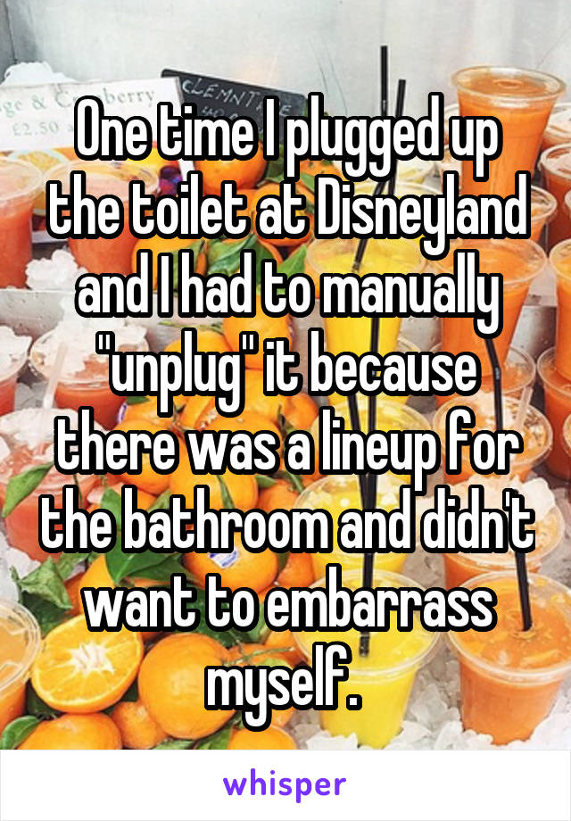 One time I plugged up the toilet at Disneyland and I had to manually "unplug" it because there was a lineup for the bathroom and didn't want to embarrass myself. 