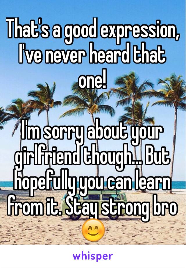 That's a good expression, I've never heard that one! 

I'm sorry about your girlfriend though... But hopefully you can learn from it. Stay strong bro 😊