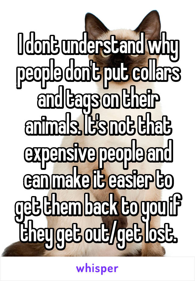 I dont understand why people don't put collars and tags on their animals. It's not that expensive people and can make it easier to get them back to you if they get out/get lost.