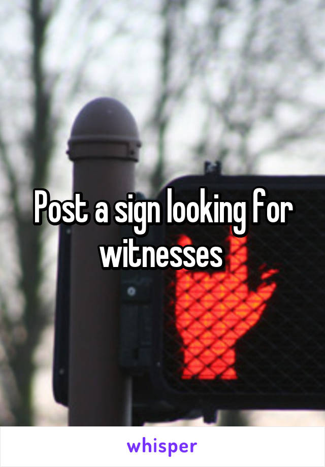 Post a sign looking for witnesses 