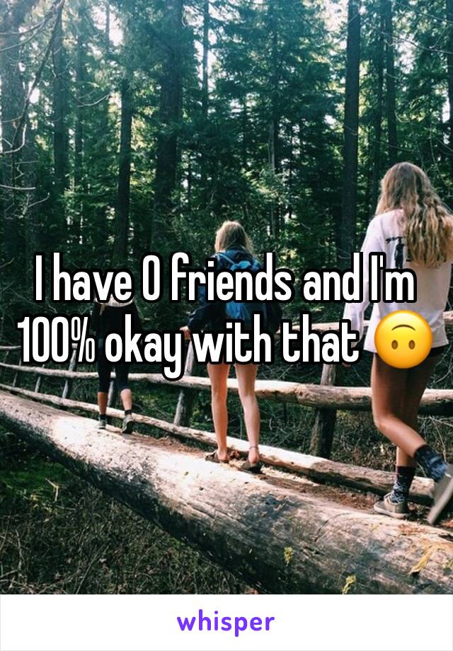 I have 0 friends and I'm 100% okay with that 🙃