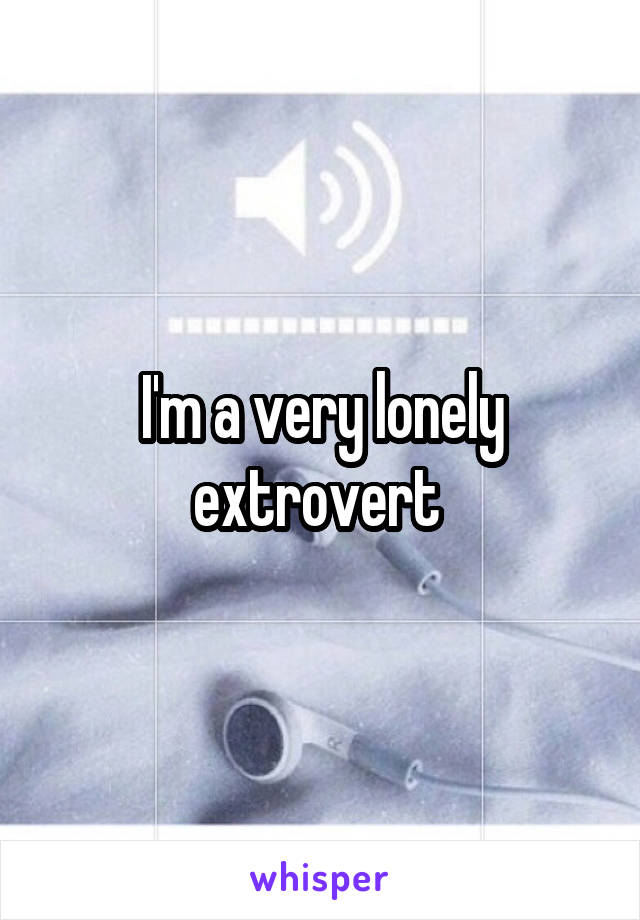I'm a very lonely extrovert 