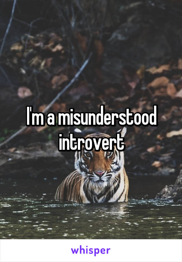 I'm a misunderstood introvert