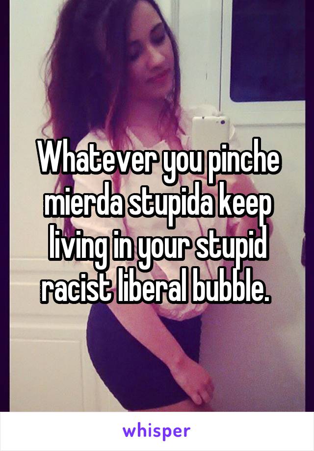 Whatever you pinche mierda stupida keep living in your stupid racist liberal bubble. 