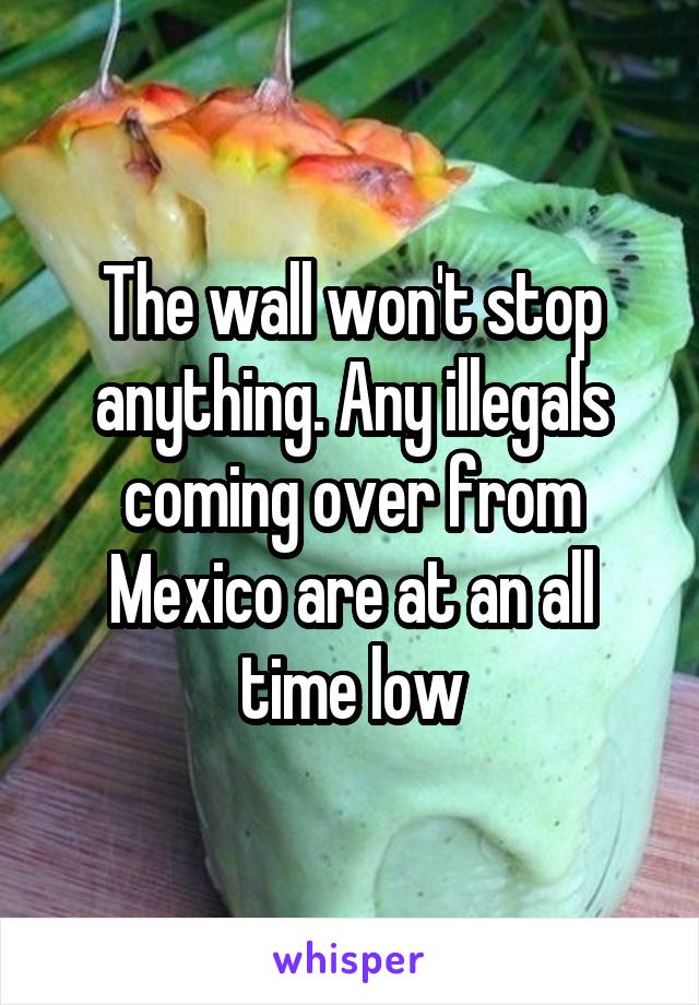The wall won't stop anything. Any illegals coming over from Mexico are at an all time low