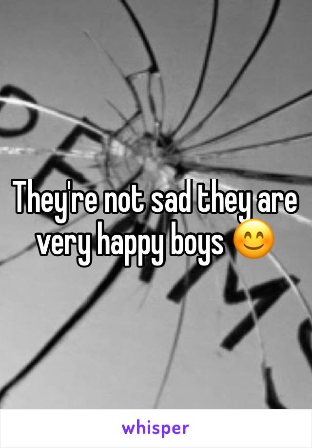 They're not sad they are very happy boys 😊