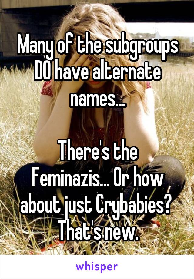 Many of the subgroups DO have alternate names...

There's the Feminazis... Or how about just Crybabies?  That's new.