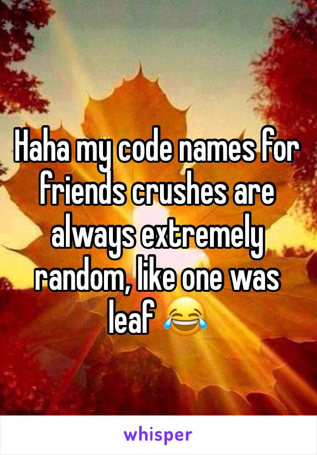 Haha my code names for friends crushes are always extremely random, like one was leaf 😂