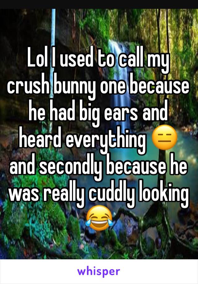 Lol I used to call my crush bunny one because he had big ears and heard everything 😑 and secondly because he was really cuddly looking 😂