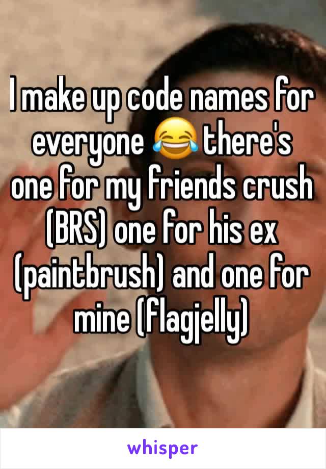 I make up code names for everyone 😂 there's one for my friends crush (BRS) one for his ex (paintbrush) and one for mine (flagjelly)