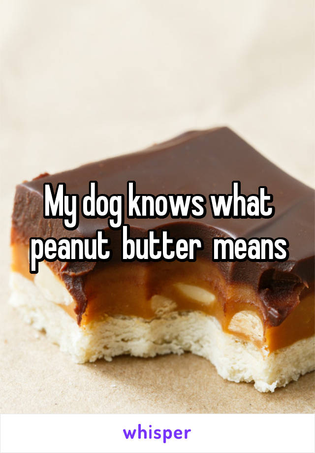 My dog knows what peanut  butter  means