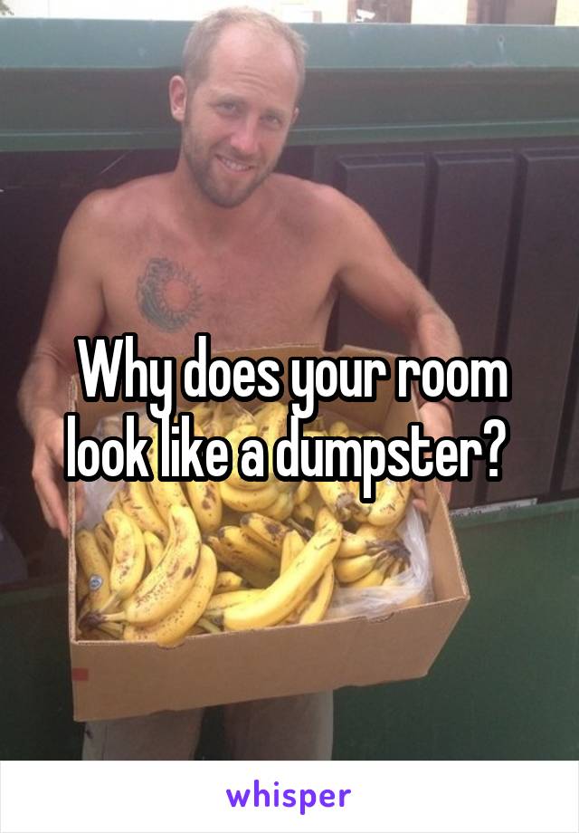 Why does your room look like a dumpster? 