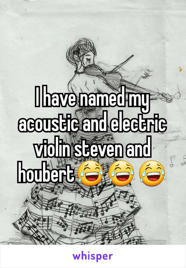 I have named my acoustic and electric violin steven and houbert😂😂😂