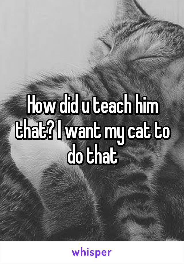 How did u teach him that? I want my cat to do that